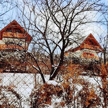 펜션 Kolorowe Karkonosze 셰시에카