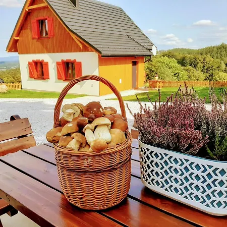 Kolorowe Karkonosze Prázdninový dům Przesieka