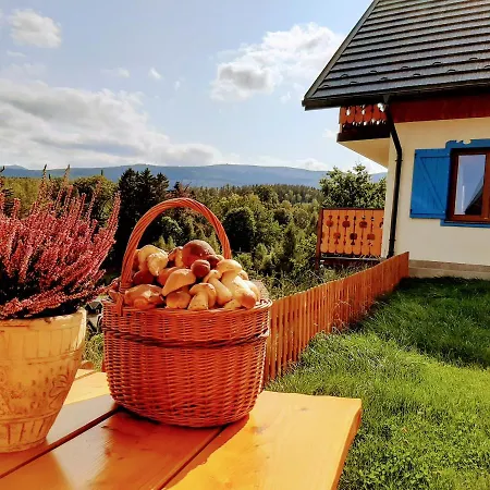 Kolorowe Karkonosze 펜션