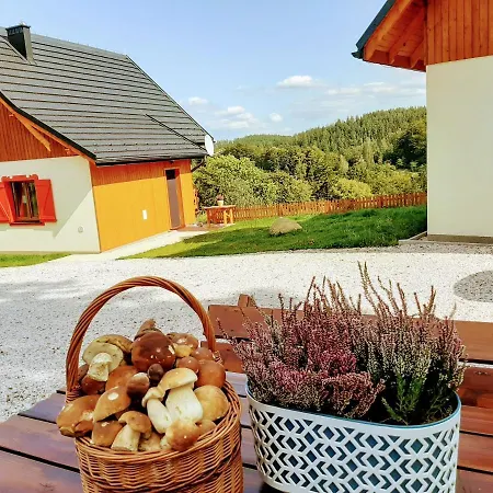 Kolorowe Karkonosze Prázdninový dům Przesieka