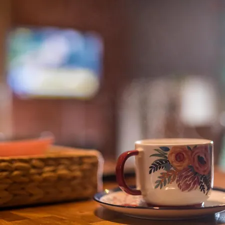 Kolorowe Karkonosze 펜션 *