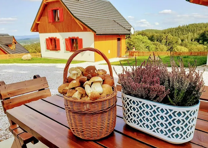 Kolorowe Karkonosze 펜션 셰시에카